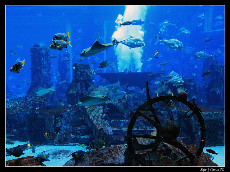 2012 - 06 - Dubai - 031